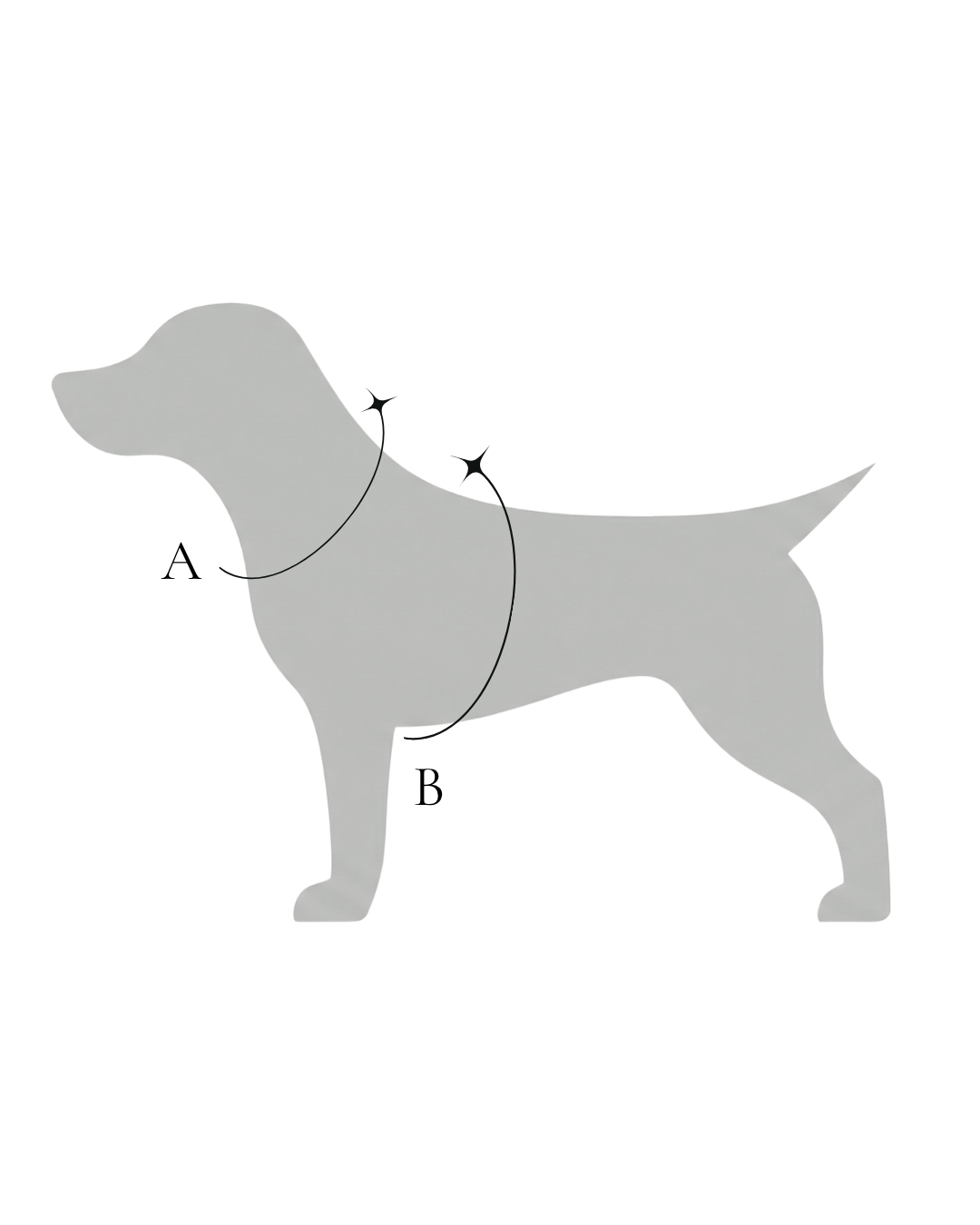 Harness measurement diagram