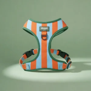 Teddy Harness