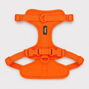 Amalfi Orange - Harness