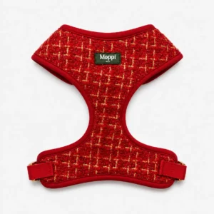 Bellagio Red - Harness