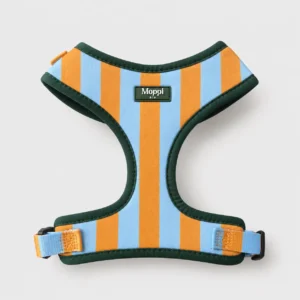 Capri Orange - Harness