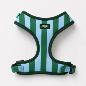 Sorrento Blue - Harness