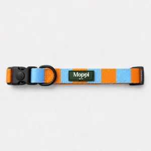 Capri Orange - Collar