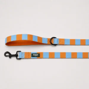 Capri Orange - Leash