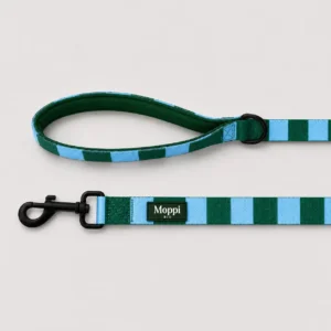 Sorrento Blue - Leash