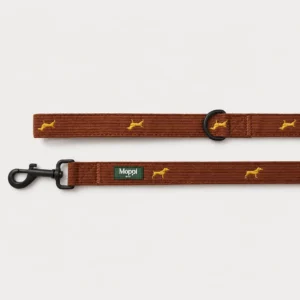 Moppi Siena - Leash