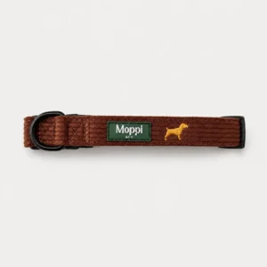 Moppi Siena - Collar