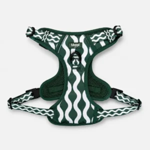Salerno Wave - Harness