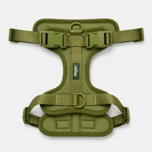 Sicily Olive - Harness