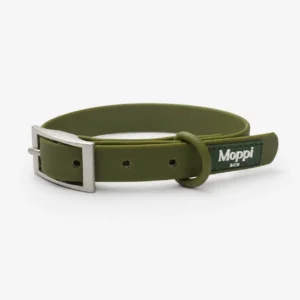 Sicily Olive - Collar