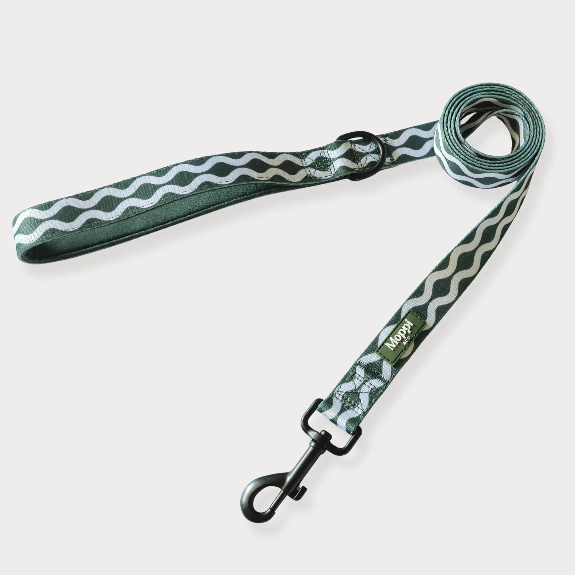 leash