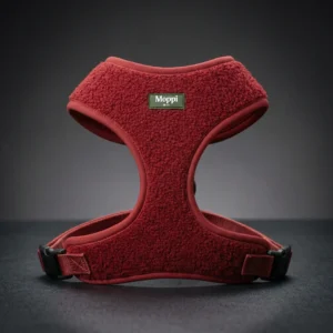 Teddy Harness (
