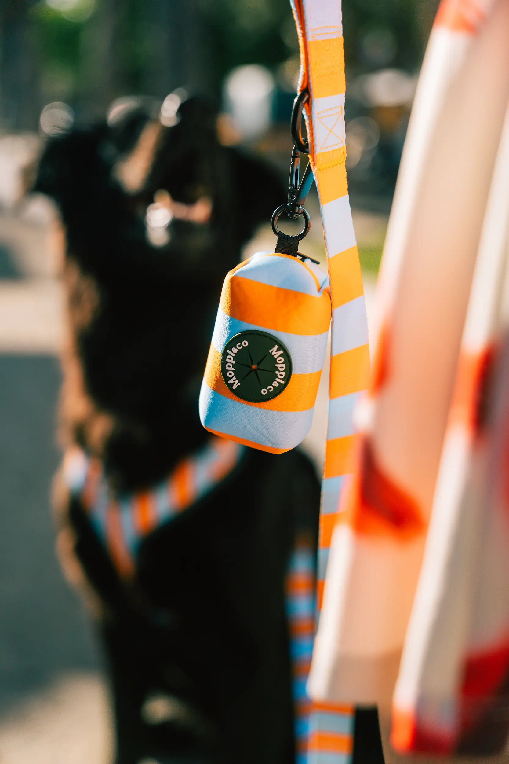 capri orange dog leash and poop bag holder