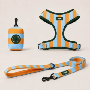 Capri Orange - Essential Set
